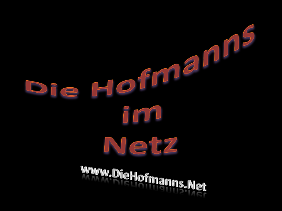 Die Hofmanns im Netz